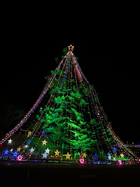 宮ケ瀬クリスマスのシンボル、ジャンボクリスマスツリー