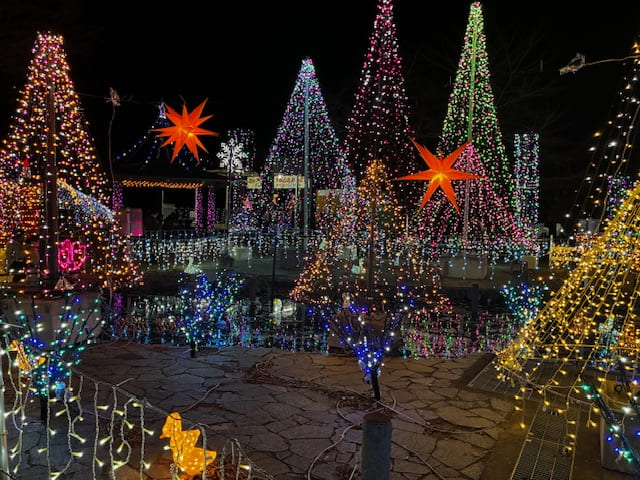 落ち着いた華やかさのイルミネーション