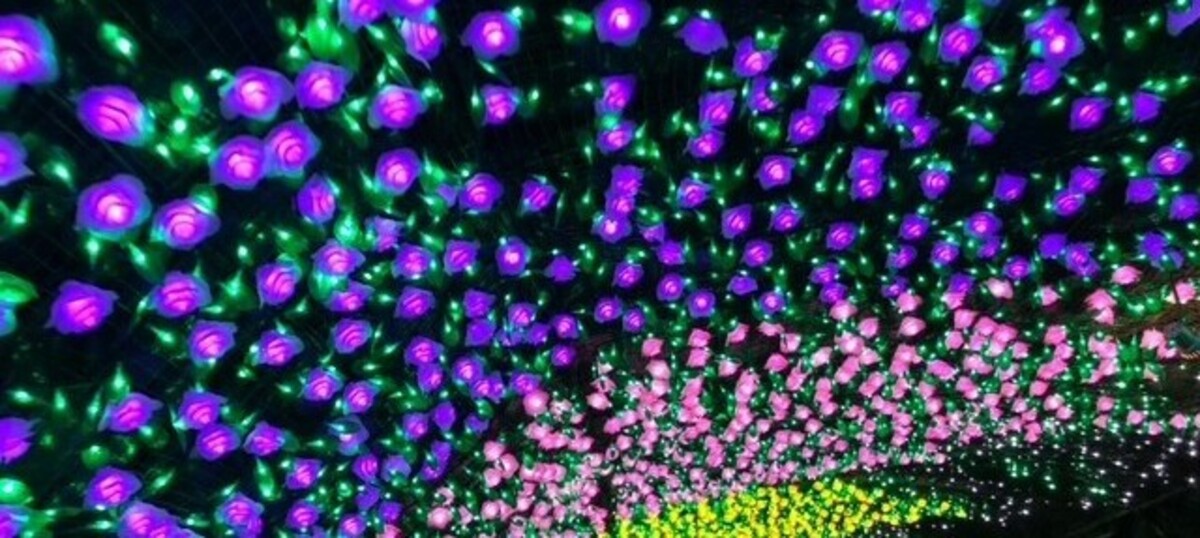 薔薇のトンネル